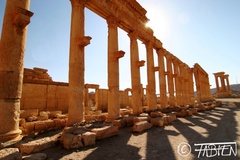 Decumanus, Palmyre