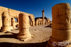 Colonnes, Palmyre